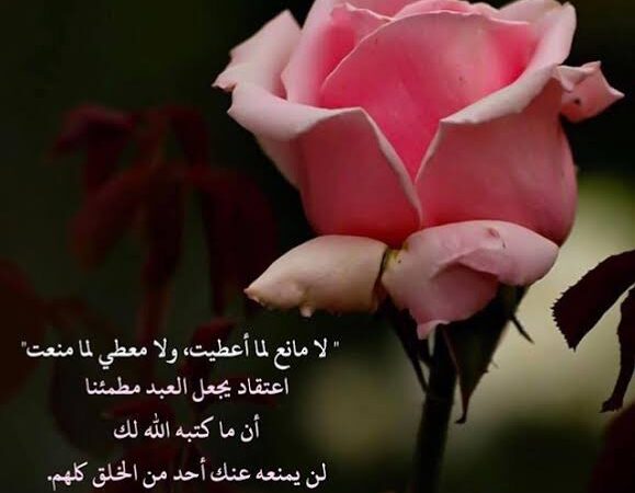 KEAJAIBAN PASRAH DAN RIDHA - ( Quwwah at Taslim wa al Ridha )