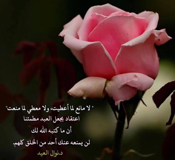 KEAJAIBAN PASRAH DAN RIDHA - ( Quwwah at Taslim wa al Ridha )